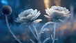 Beautiful ice flowers