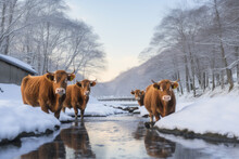 Cow In Winter Created With Generative AI Technology