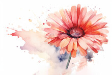 Watercolor Of Gerbera Daisy Isolated Created With Generative AI Technology