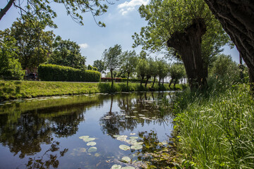 Sticker - Picturesque Dutch landscape with a calm river surface on a summer day in a blue sky in the Netherlands beauty in nature