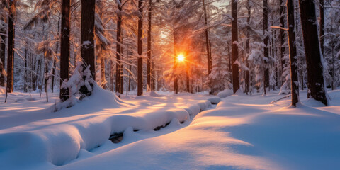 Wall Mural - winter solstice in isolated snowy forest after snow fall. Beautifully natural winter scene, blizzard trees, snow,Generative AI.