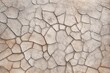 Stamped Concrete: Create a concrete texture background with imprinted patterns or designs, resembling stamped concrete used in architecture. 
