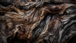 canvas print picture - beschaffenheit baum holz bark natur
