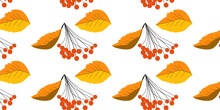 Colourful Autumn Pattern In A Hand Drawn Style