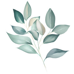 Wall Mural - Eucalyptus leaves watercolor hand-drawn white background