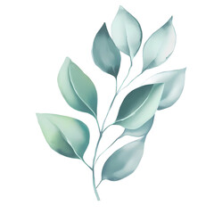 Wall Mural - Eucalyptus leaves watercolor hand-drawn white background