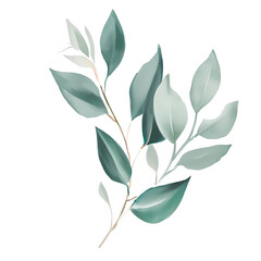 Wall Mural - Eucalyptus leaves watercolor hand-drawn white background