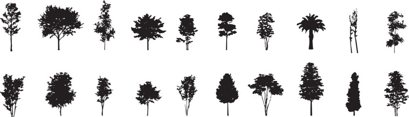 tree silhouettes on white background. Vector illustration.
