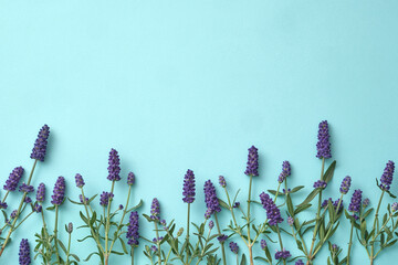 Top view, flat lay of creative frame made of lavender flowers on pastel blue background. Lavender contains hidden meanings symbolizing passionate love, romance, faithfulness. Copy space