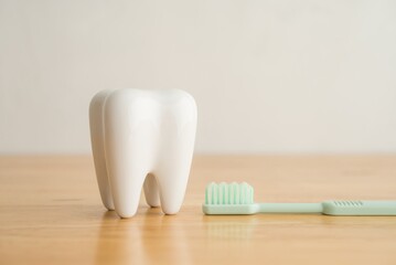 White healthy tooth model and green dental toothbrush on wooden table with white wall background with copy space. Dental care and healthcare concept.