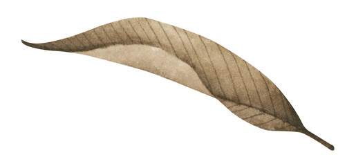 Autumn leaf. Watercolor illustration.
