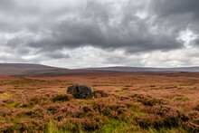 Moorlands- Traverse The Mystical And Expansive Moorlands, With Their Vast Open Spaces, Heather-covered Hills, And Scattered Stone Formations
