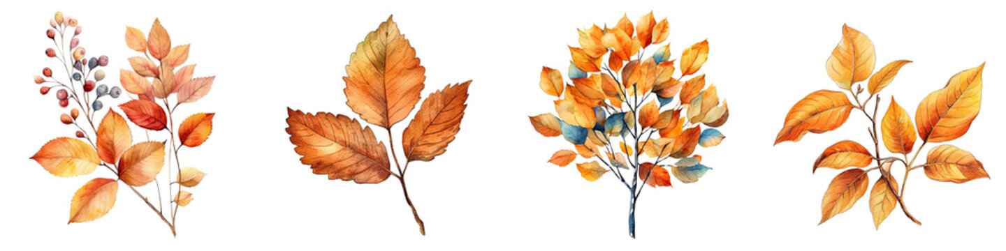 Watercolor illustration autumn leaves transparent background, PNG