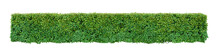 Green Leafed Bushes Or Shrubbery Bush Tree Trimming  Square Shape. Fences And Decorating The Garden. Png Transparency