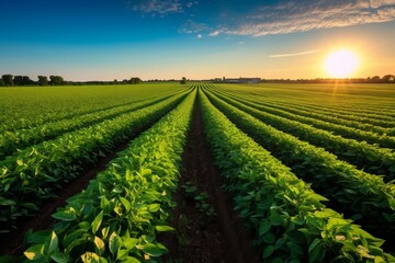  Leveraging AI and 5G to advance agriculture, Generative Ai