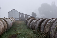Haybales In A Misty Farmyard In NW Tasmania.