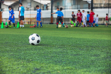 Wall Mural - Soccer ball tactics cone on a grass field with for training