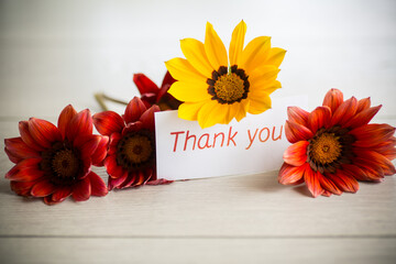 Sticker - Beautiful red and yellow Gazania flowers with a thank you card