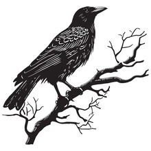 Cute Raven, Sitting On A Tree On A White Background, Hand Drawn Illustration
