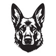 Vector isolated portrait of a german shepherd dog on a white background