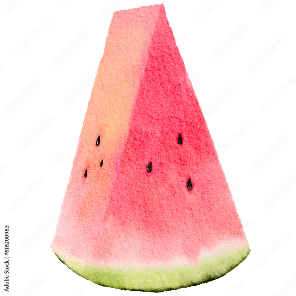 hand drawn watercolor illustration, slice of watermelon isolated on ...
