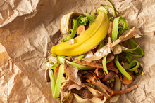 Food Organic Waste On Eco Friendly Parchment Paper, Fruit And Vegetable Peel, Garbage Sorting And Recycling
