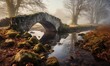 a stone bridge over a small stream in a park with mossy rocks and trees on either side of the stream, and a foggy sky above.  generative ai