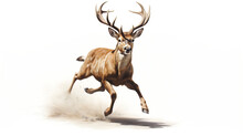 Running Deer, White Background. Generative AI.