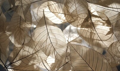  a close up of a bunch of leaves on a tree branch with sunlight coming through the leaves on the tree branch and the shadow of the leaves on the tree branch.  generative ai
