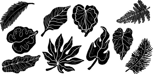 Tropical leaves, black silhouettes of exotic plants. Grunge monochrome texture in linocut style. Vector set of elements.
