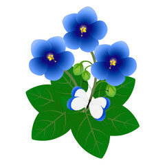 Wall Mural - Bush of saintpaulia violets with a butterfly on a white background.