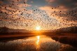 Magnificent Bird Migration