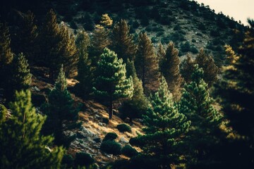 Poster - forested mountain landscape with misty clouds in the background. Generative AI