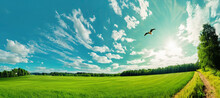 Beautiful Natural Scenic Panorama Green Field Of Cut Grass Into And Blue Sky With Clouds On Horizon. Perfect Green Lawn On Summer Sunny Day