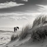 Monochrome Beach Scene Dunes, Sea Grass and Wild Pony
