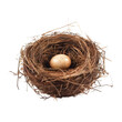 © Papugrat - bird nest with egg isolated on transparent background cutout