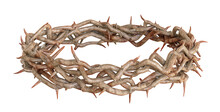 Crown Of Thorns On Transparency Background. Png Transparency