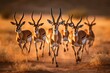 Graceful Gazelles Elegant Antelopes