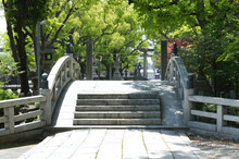 新緑に包まれる神社の石橋