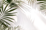 Fototapeta Tulipany - Palm tree branches and its shadow on a white background. Tropical background.