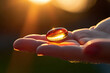 one yellow clear omega-3 oil gel capsule on a hand. The capsules is backlit by sunlight.