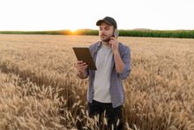 Bearded Farmer With Mobile Phone And Digital Tablet In Agricultural Field At Sunset.