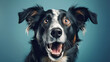Generative Ai image of a herding dog face close up