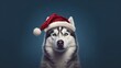 Generative AI A grey blue-eyed Siberian Husky wears a red Santa hat during a snowfall. Front view. Minimalistic background realistic style. Christmas greeting card.