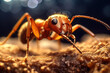 Red fire ant, generative ai