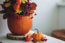 Autumn Bouquet Of Bright Flowers In A Pumpkin Handmade Vase. Cozy Home Atmosphere, Fall Decor. White Background