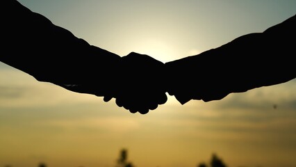 teamwork, shake hands with employer, consent symbol sign, professional manager shakes hands with employer sunset, make business deal silhouette, handshake silhouette, confederate accomplice team