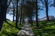 Beautiful shaded alley vista at the Lantern Bay park in Dana Point, Southern California