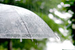 © Photo Sesaon - It's raining. Woman's hand holding an umbrella. .The sky is drizzling. and overcast all the time rainy background umbrella background