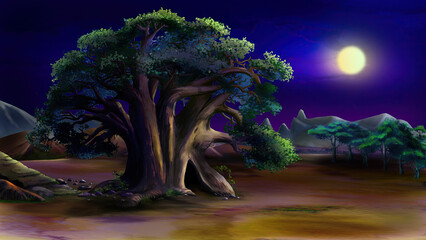 Wall Mural - Big green tree in the African savannah at night